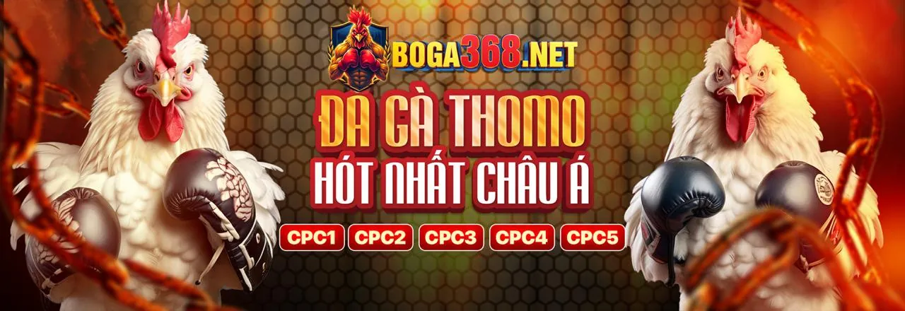 Đá Gà Trực Tuyến jun888